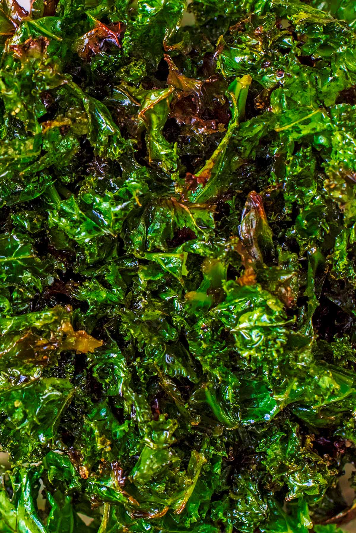 Crispy cooked leaves of kale with a coating of oil.