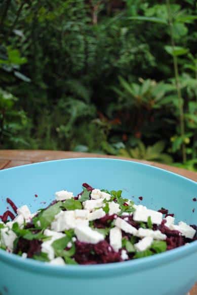 Beetroot And Goats Cheese Salad - Hungry Healthy Happy