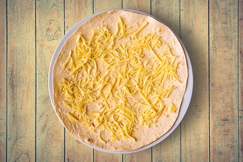 A large flour tortilla with grated cheese spread over it.