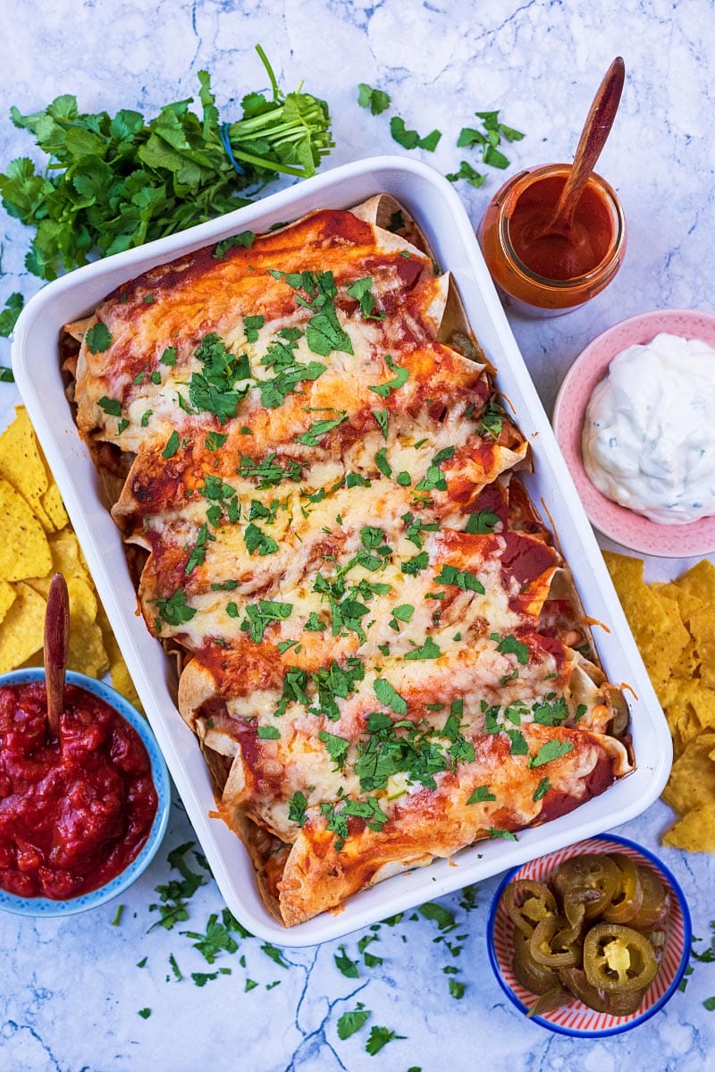 Enchiladas in a baking dish surrounded by tortilla chips, jalapenos, salsa and coriander leaves.