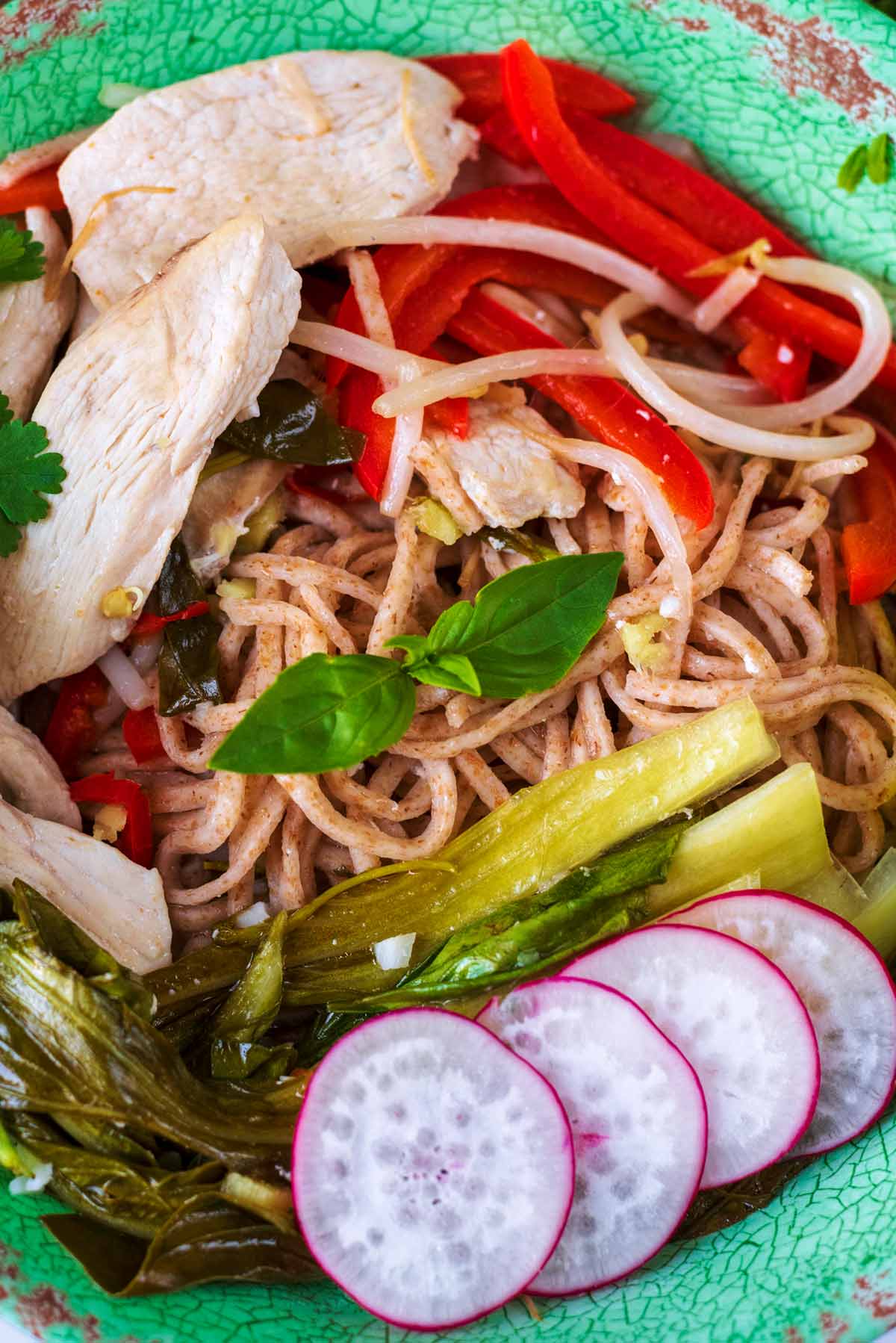 A bowl of noodles, chicken and vegetables in a broth.