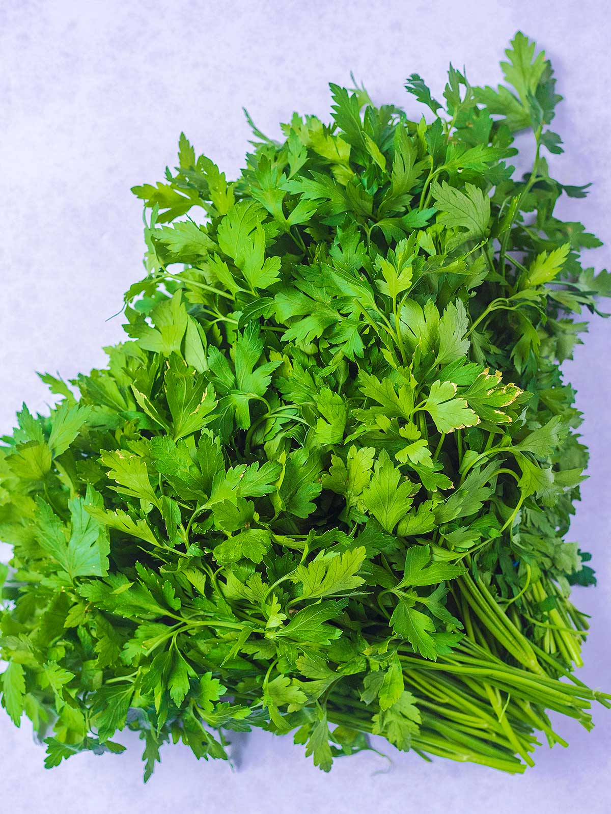A large bunch of parsley on a grey stone surface.