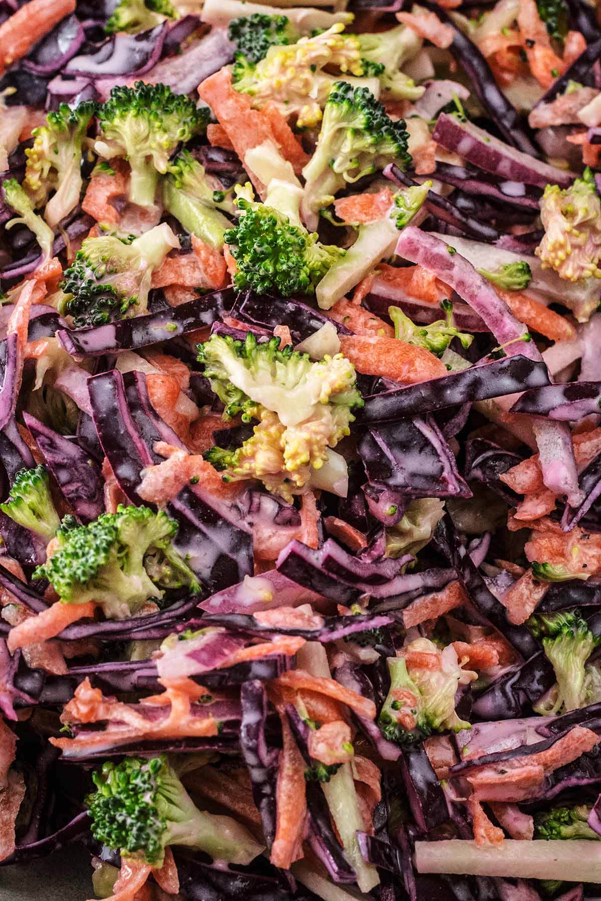 Thinly sliced cabbage, carrot and onion with small broccoli florets all coated in a salad dressing.