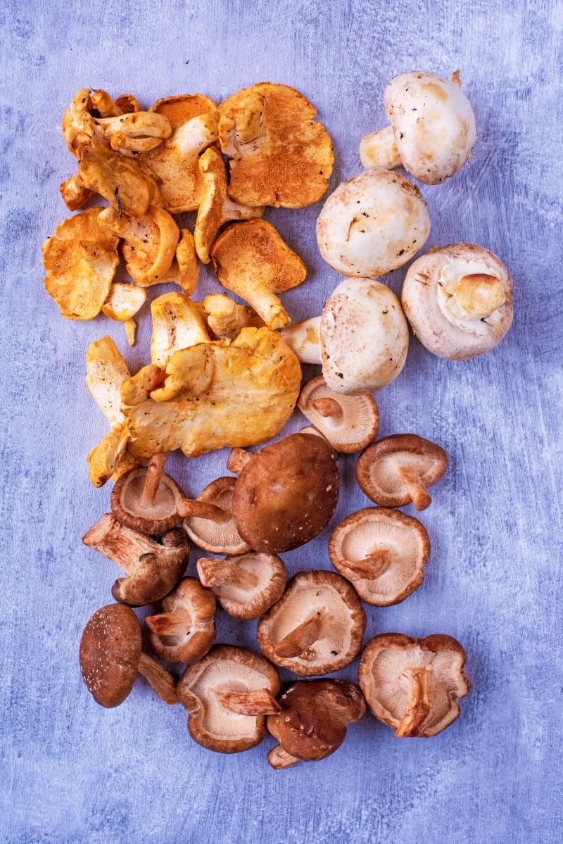 A selection of mixed mushrooms arranged on a metallic surface.