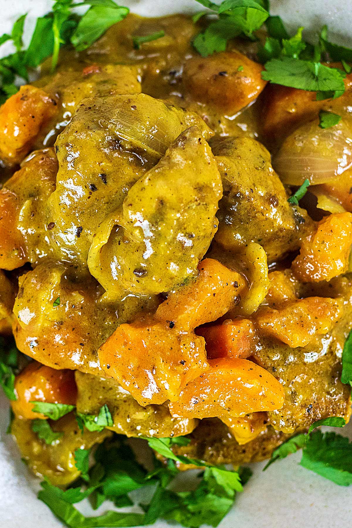 Chunks of chicken, sweet potato and carrot in a curry sauce.