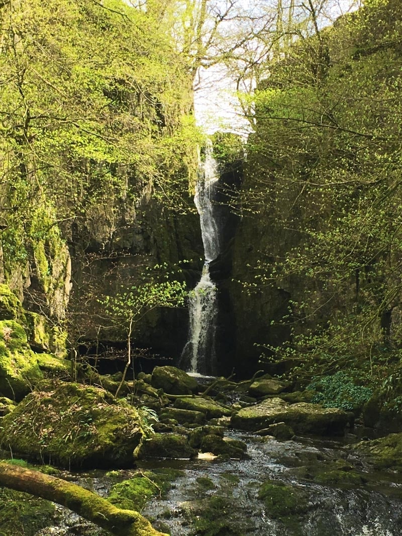 A waterfall in a tree lined valley.