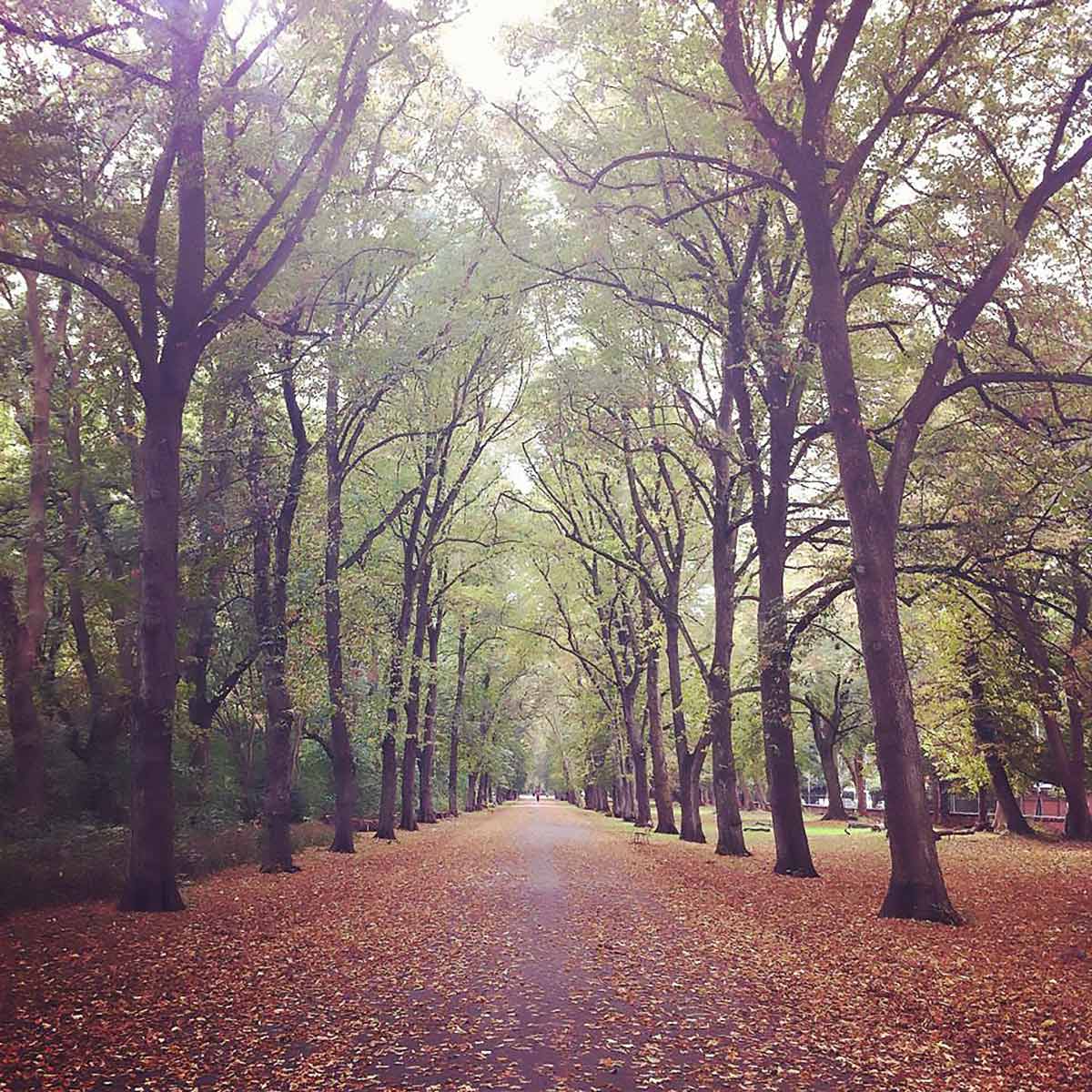 Manchester's Alexandra Park in autumn.