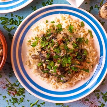 Mushroom Stroganoff on a blue and white plate with chopped parsley sprinkled on top