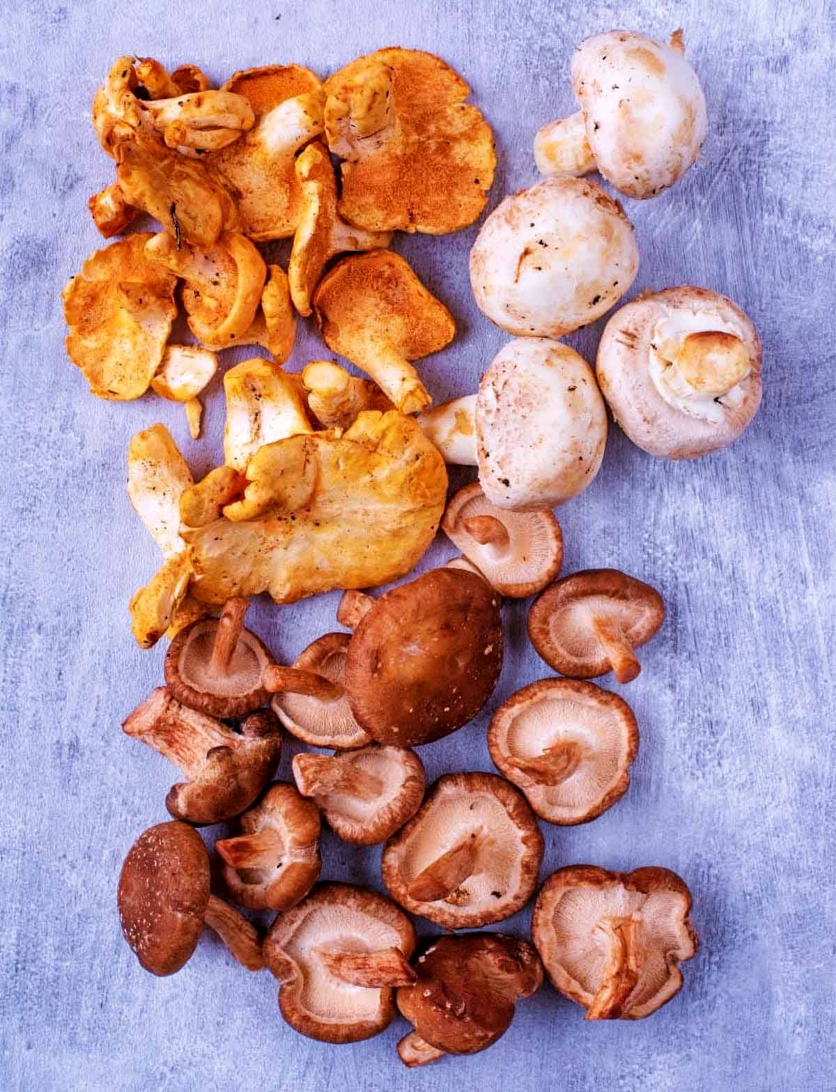 A selection of mixed mushrooms arranged on a metallic surface