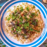 Mushroom Stroganoff on a blue and white plate with chopped parsley sprinkled on top