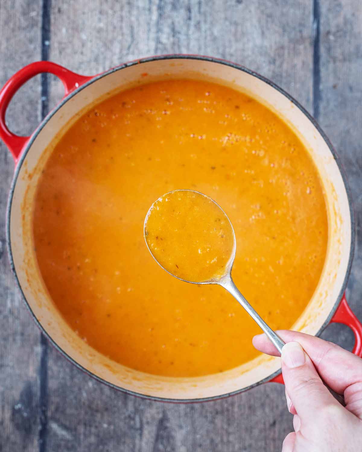 The soup blended in the pot and a spoon lifting some soup out.