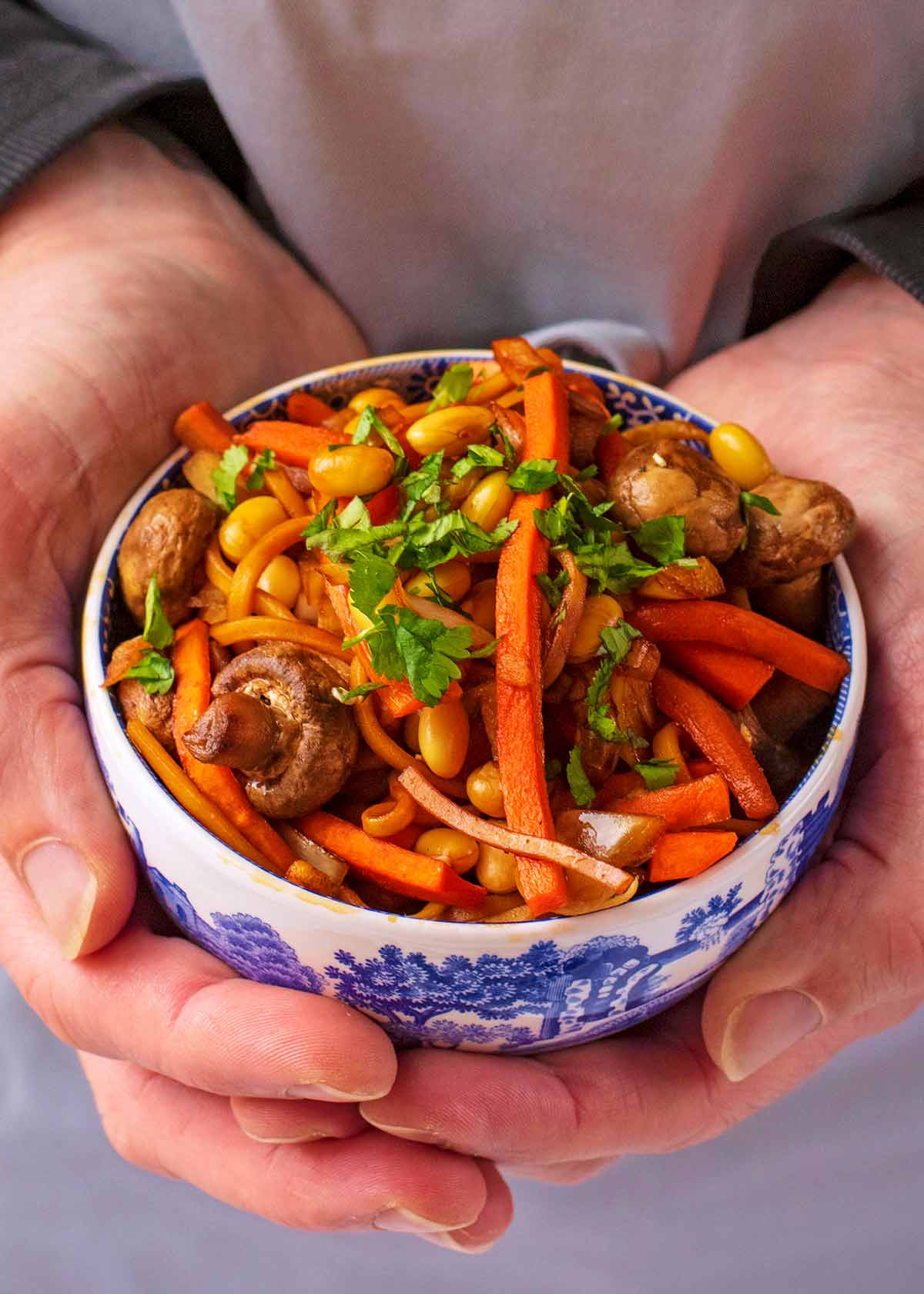 A pair of hands holding a bowl of vegetable noodles.