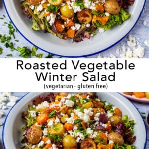 https://hungryhealthyhappy.com/wp-content/uploads/2019/03/Roasted-Vegetable-Winter-Salad-by-Hungry-Healthy-Happy-1-300x300.jpg
