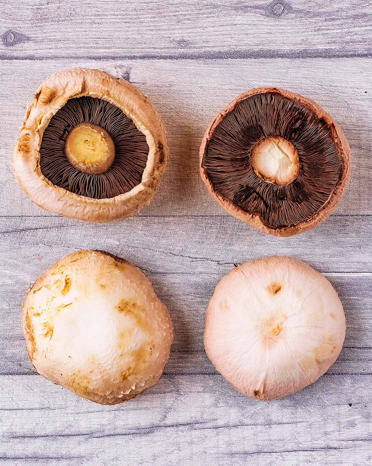 Four Portobello mushrooms on a wooden surface.