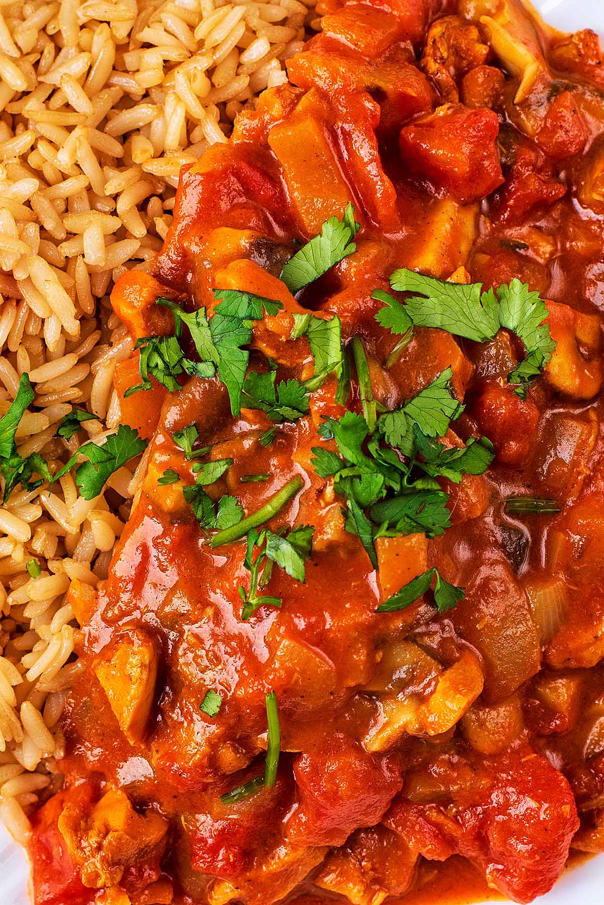 Chopped coriander leaves on top of a rich red curry.