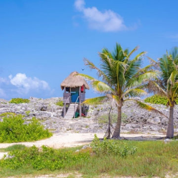 A hut on a beach with palm trees