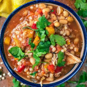 Slow Cooker Moroccan Chicken in a bowl topped with coriander leaves.