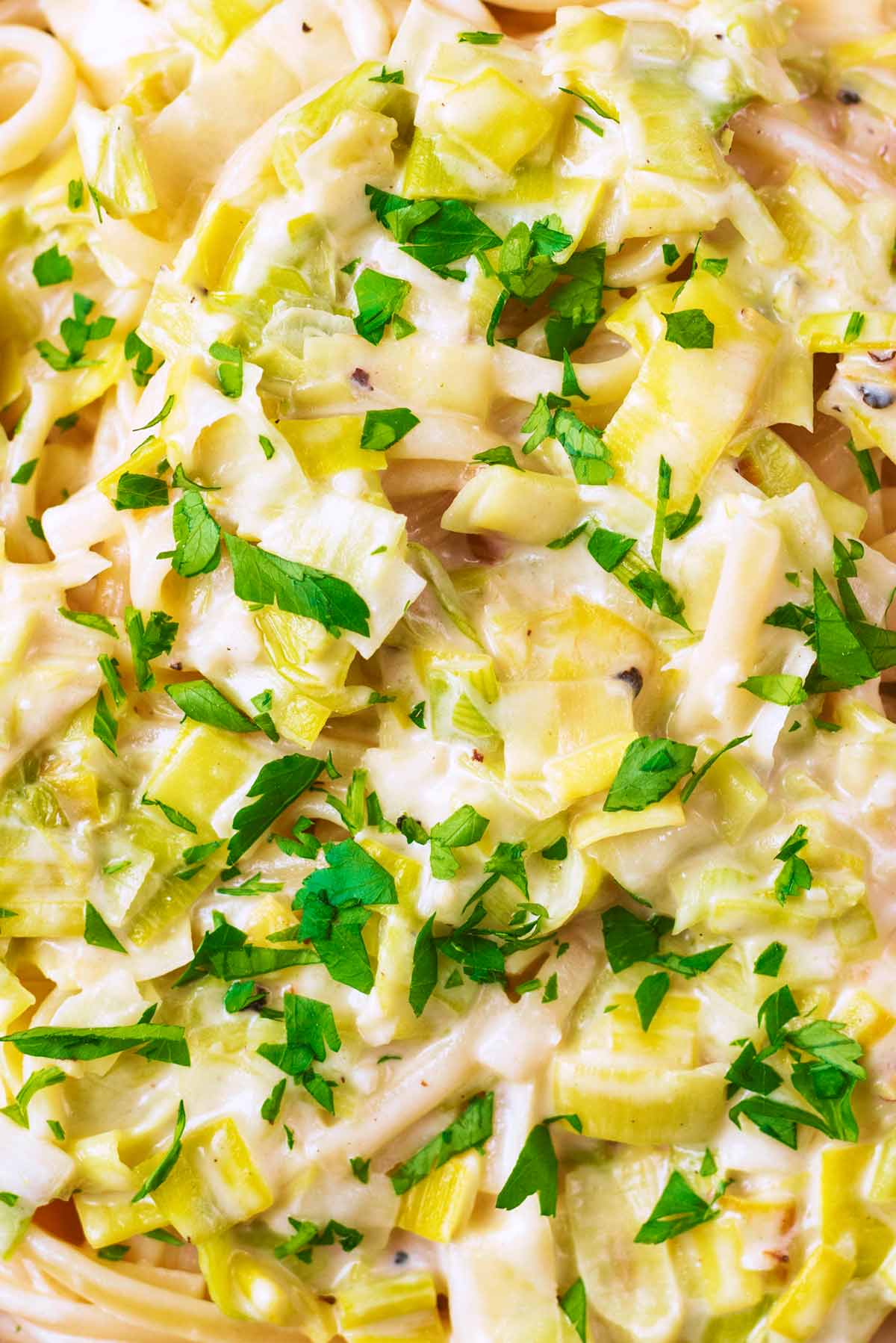 Leek linguine in a creamy sauce.