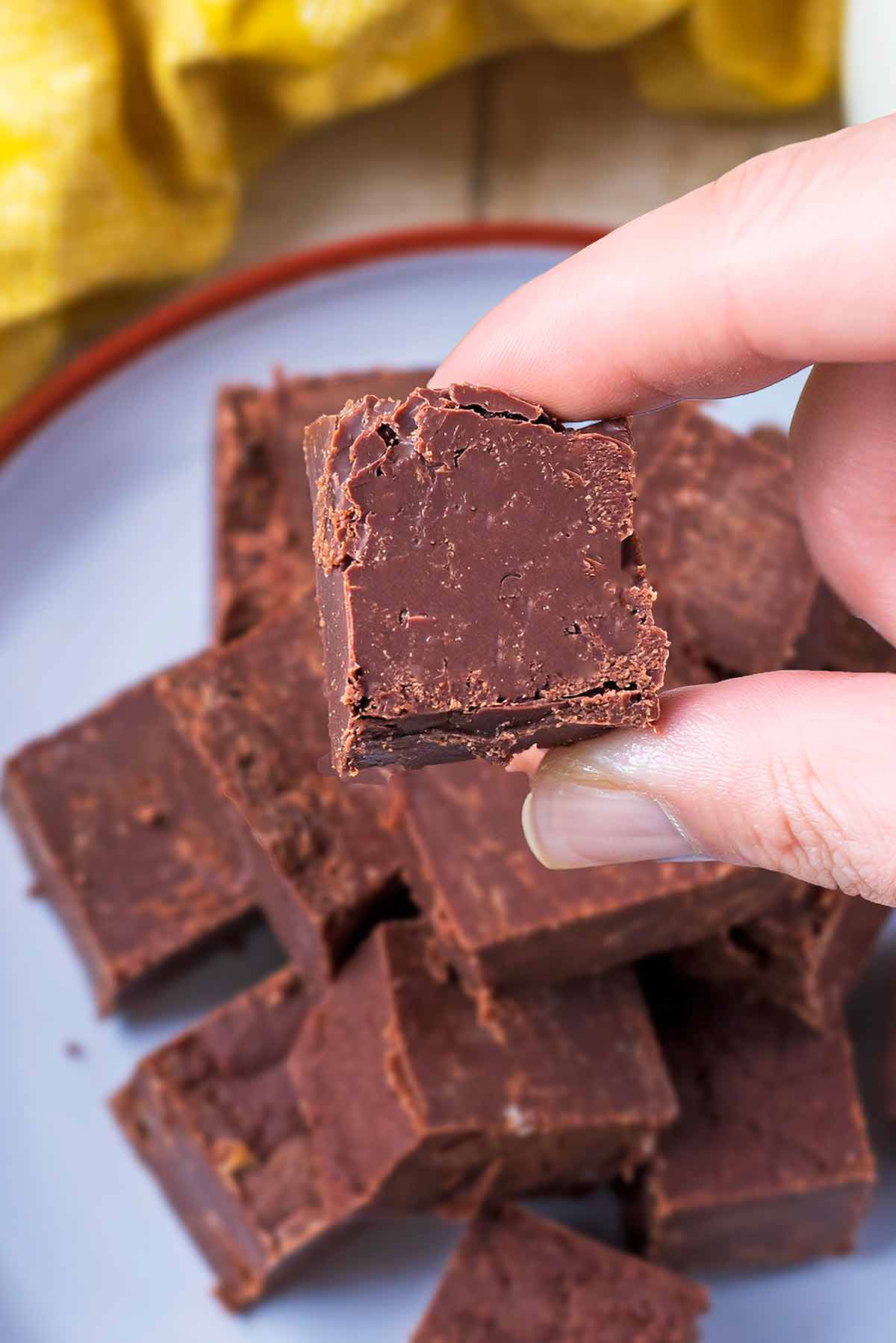 A hand holding a piece of chocolate fudge.