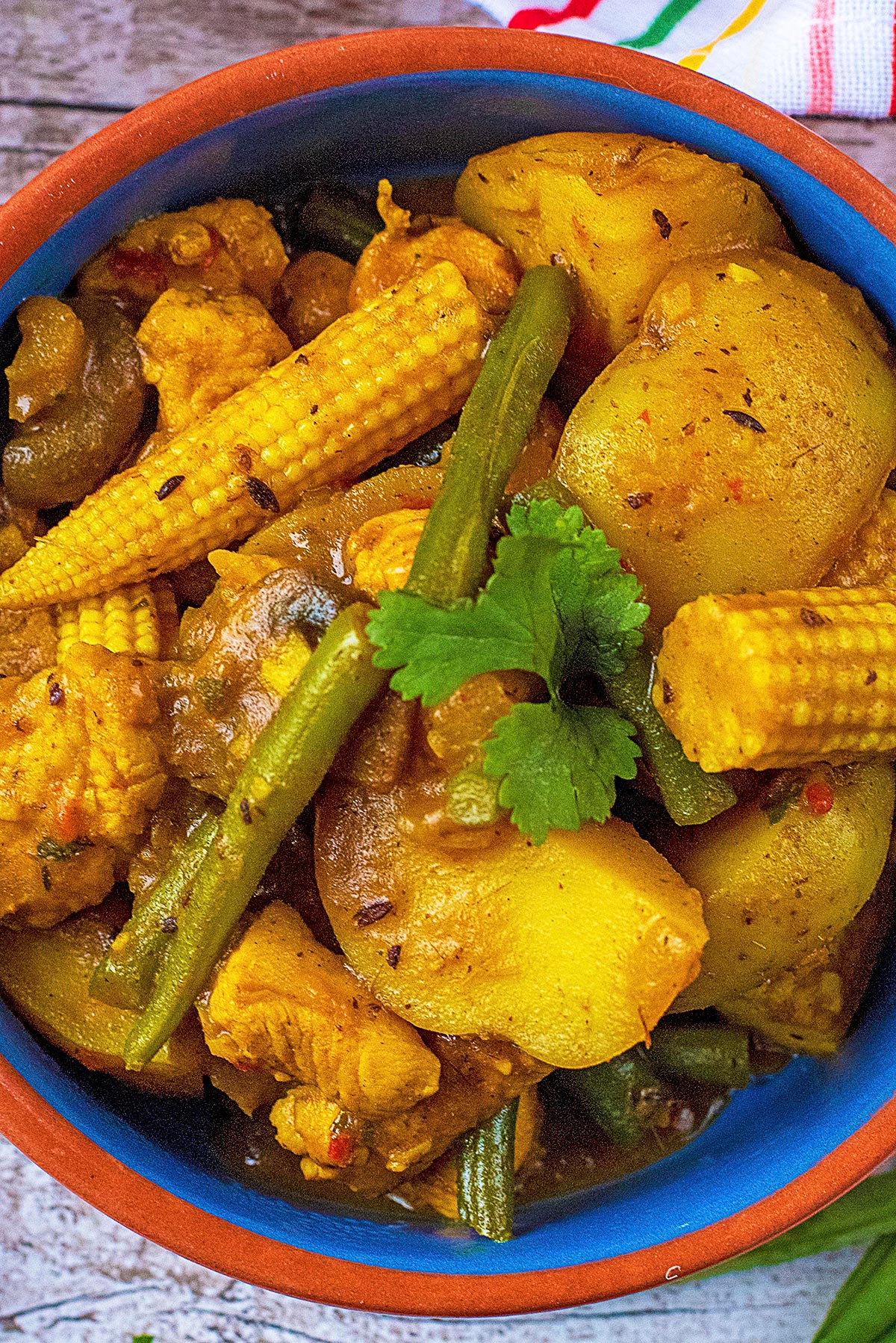 Vegetable curry in a blue and red dish