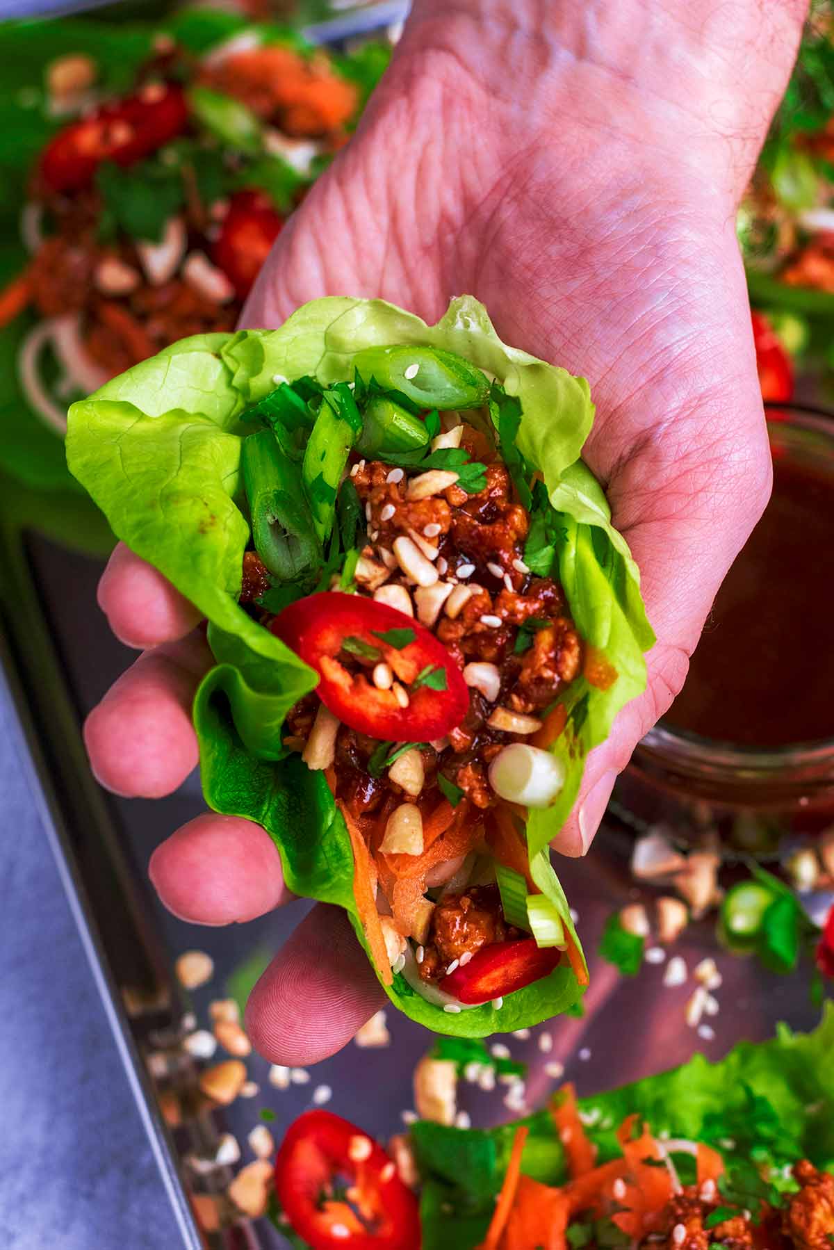 A hand holding a lettuce wrap.