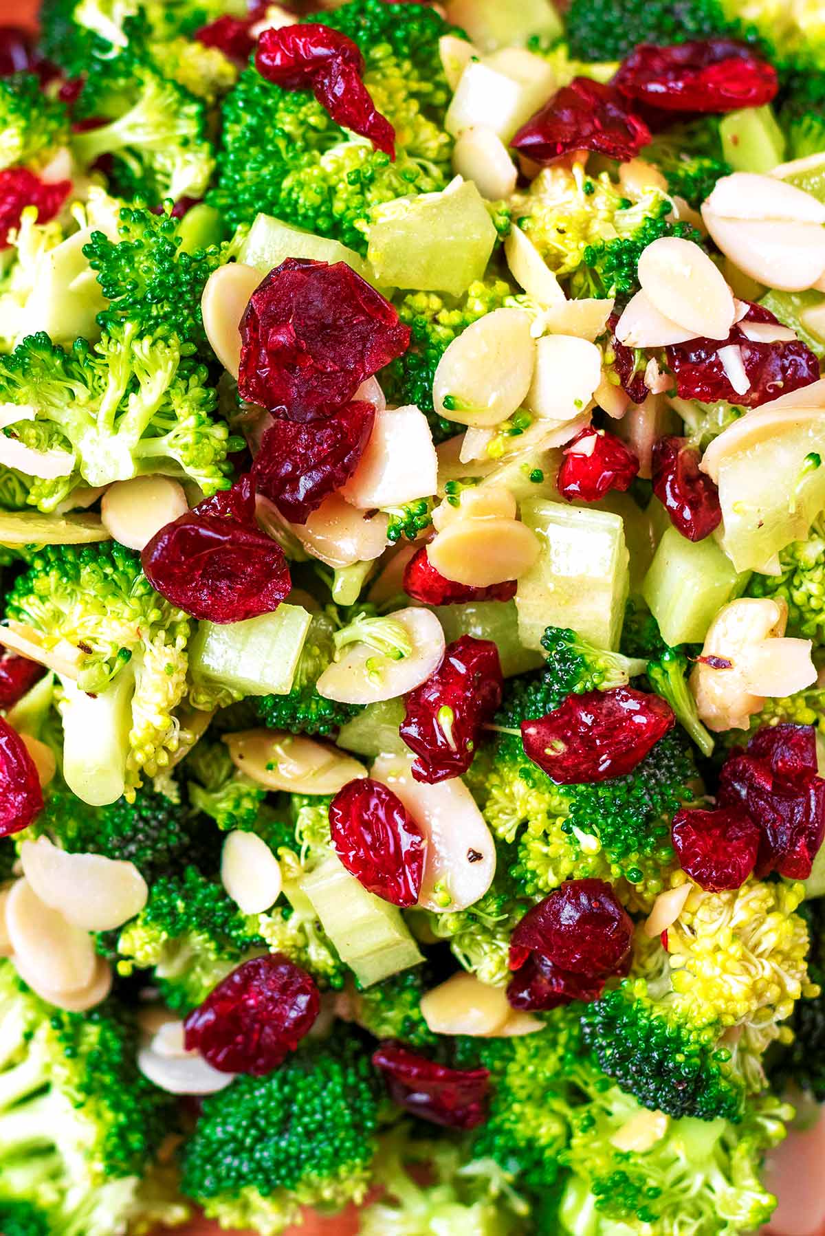 Raw broccoli florets, dried cranberries and flaked almonds all mixed together.