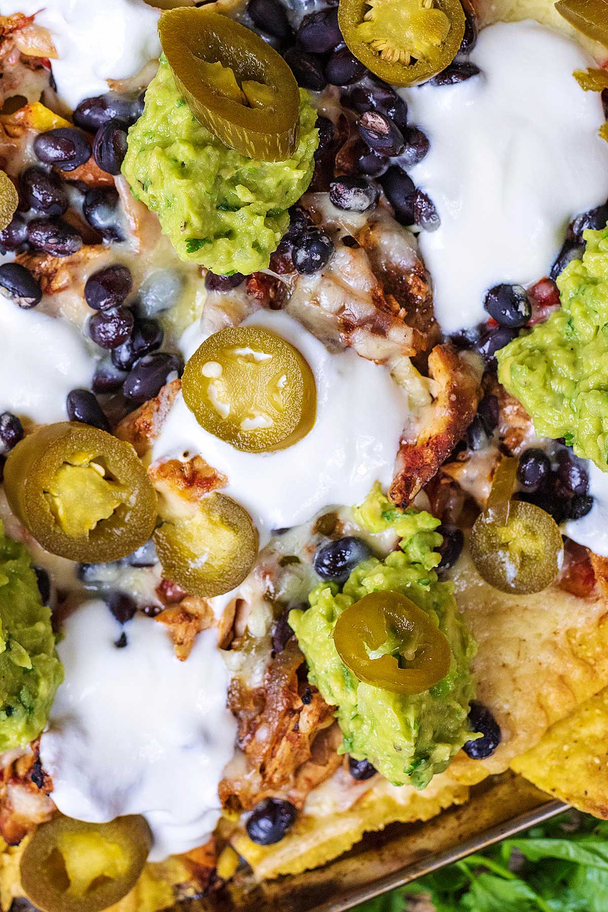 Nachos with chicken and black beans covered in cheese, sour cream and guacamole.