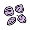 An illustration of four different nuts.