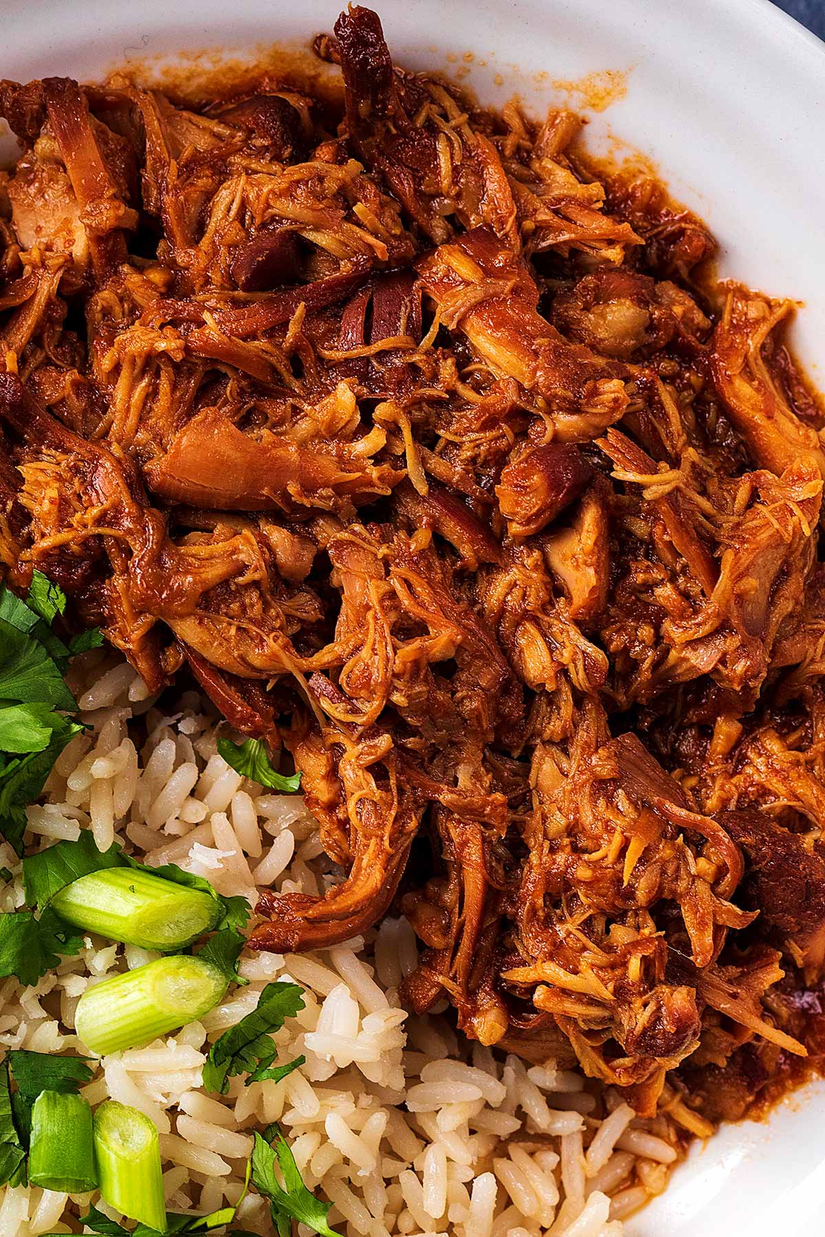 Shredded chicken on a plate next to some rice and spring onions.