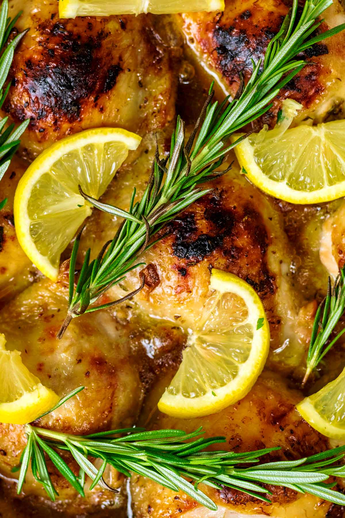 Slices of lemon and sprigs of rosemary on top of cooked chicken.