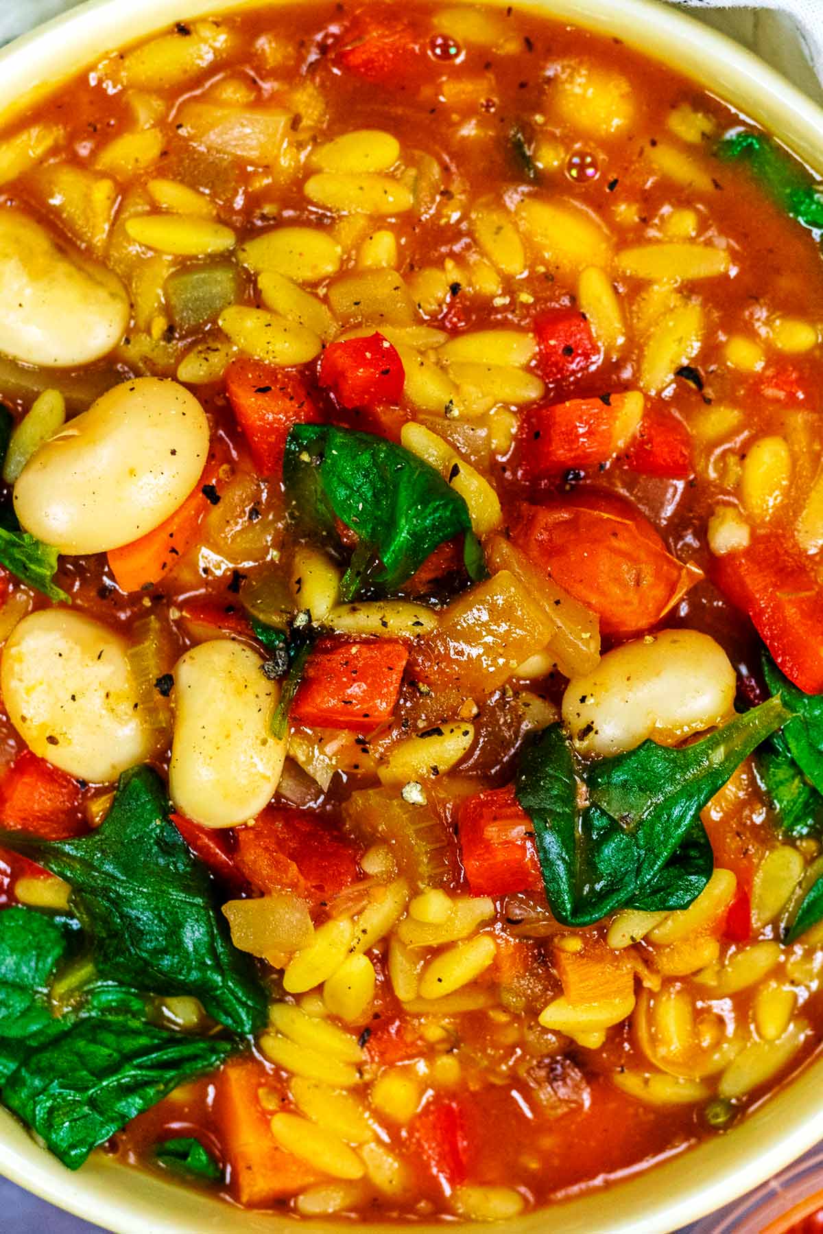 Beans, vegetables, spinach and orzo in a bowl of soup.