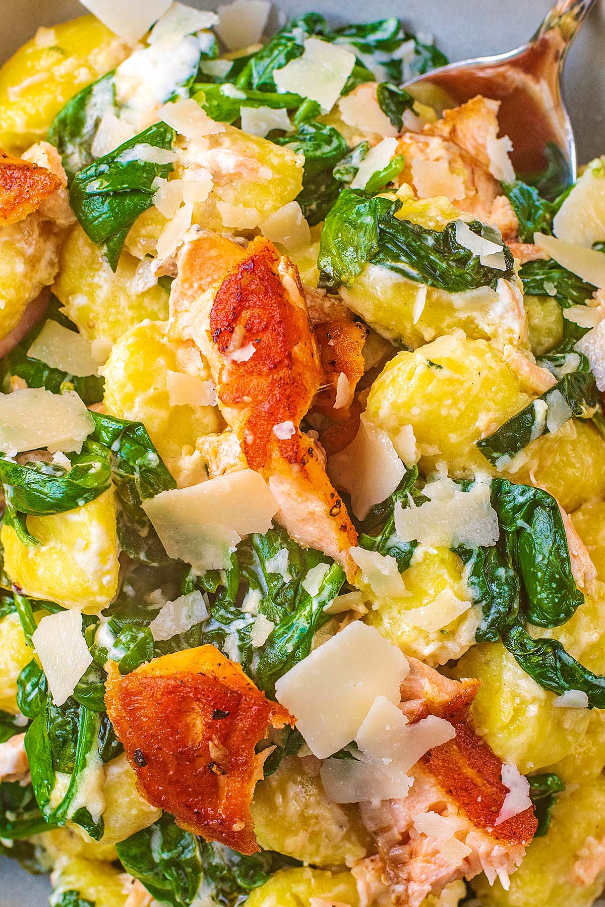 Gnocchi, flakes of fried salmon and spinach in a creamy sauce.