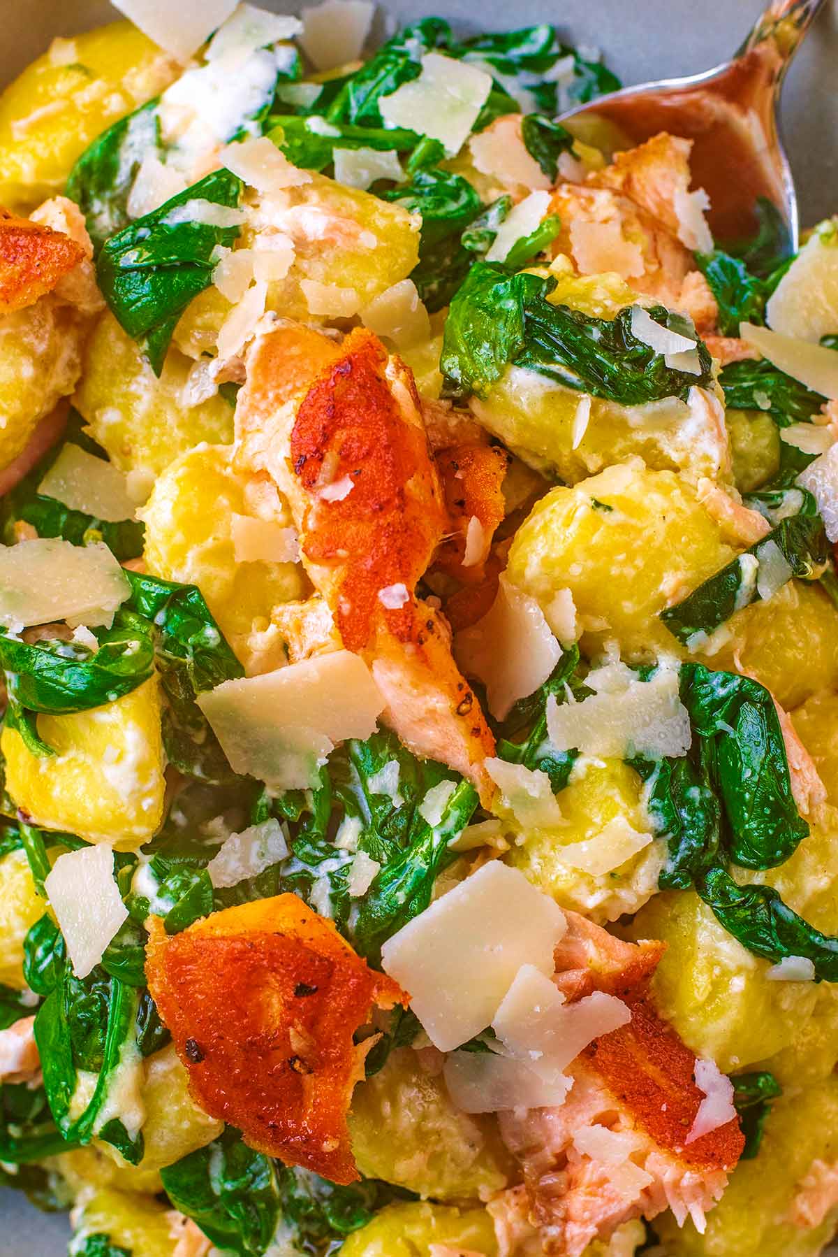 Gnocchi, flakes of fried salmon and spinach in a creamy sauce.