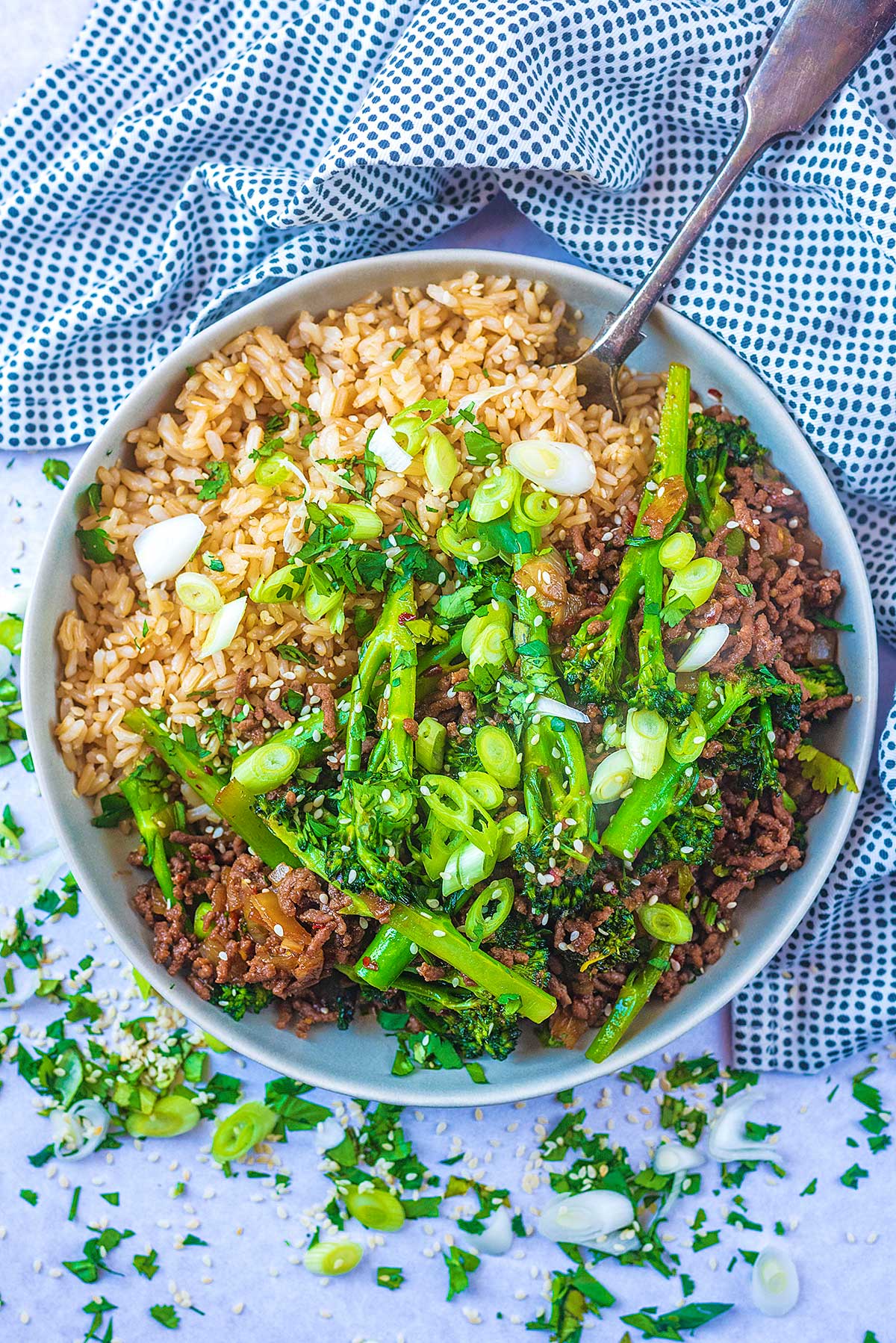 A bowl of cooked beef and rice topped with sliced spring onions and broccoli.