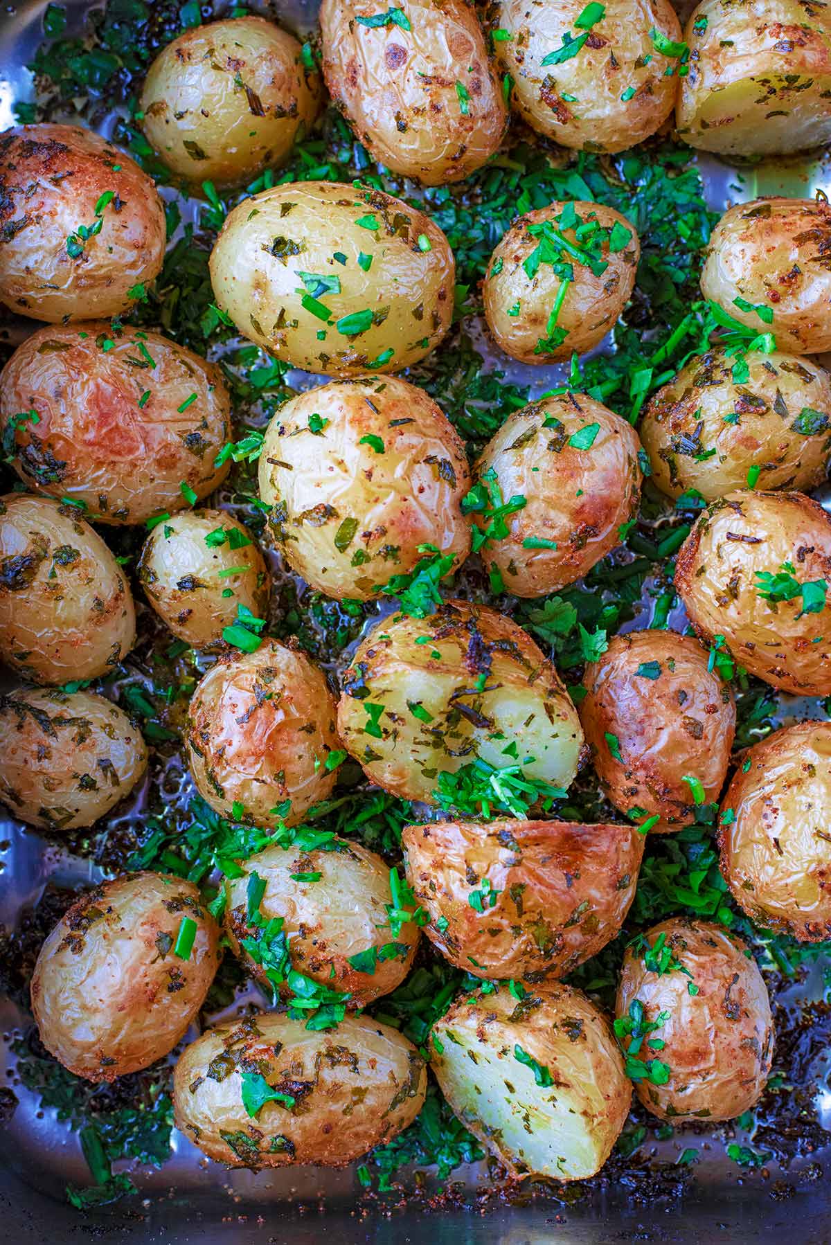 Roasted potatoes covered in chopped herns in a roasting tin.