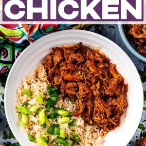Slow cooker honey garlic chicken with a text title overlay.