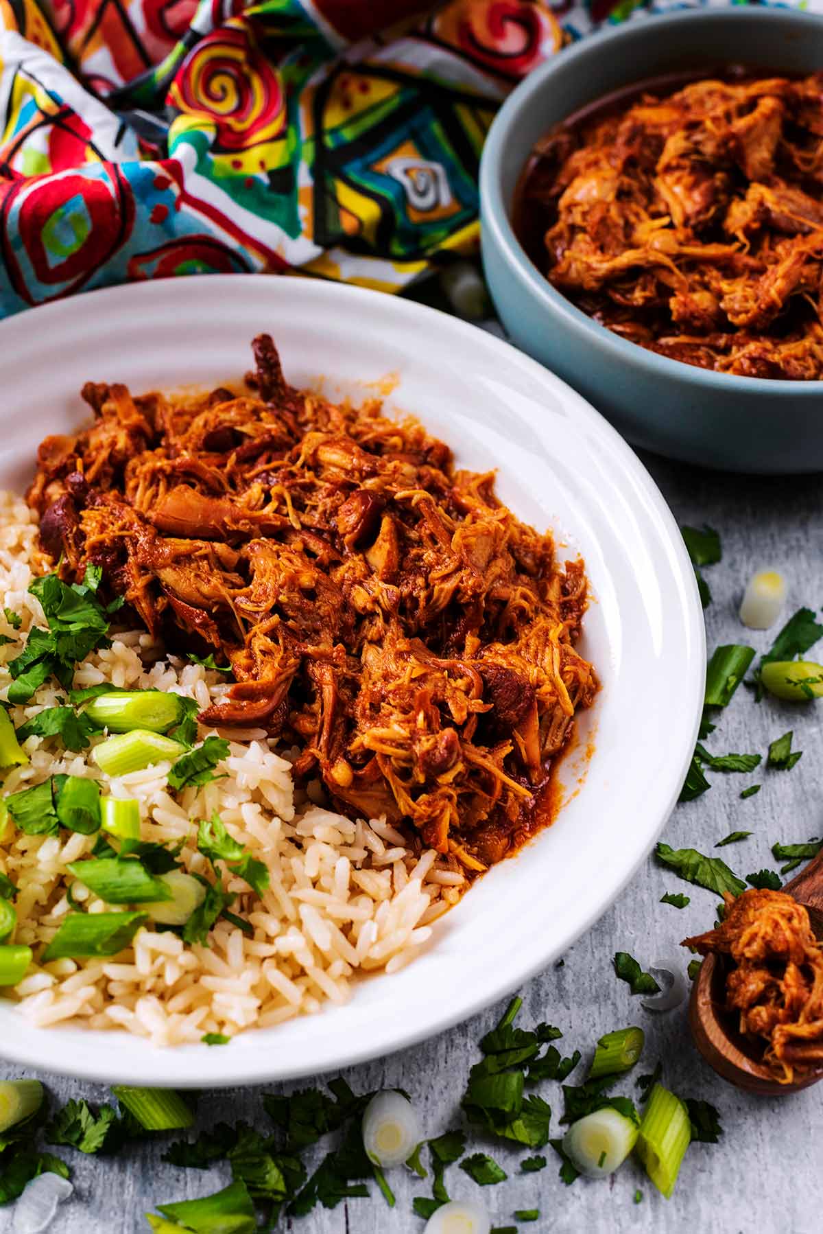 Shredded chicken and rice on a plate with a bowl of shredded chicken in the background.