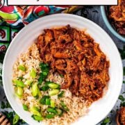Slow cooker honey garlic chicken with a text overlay title.