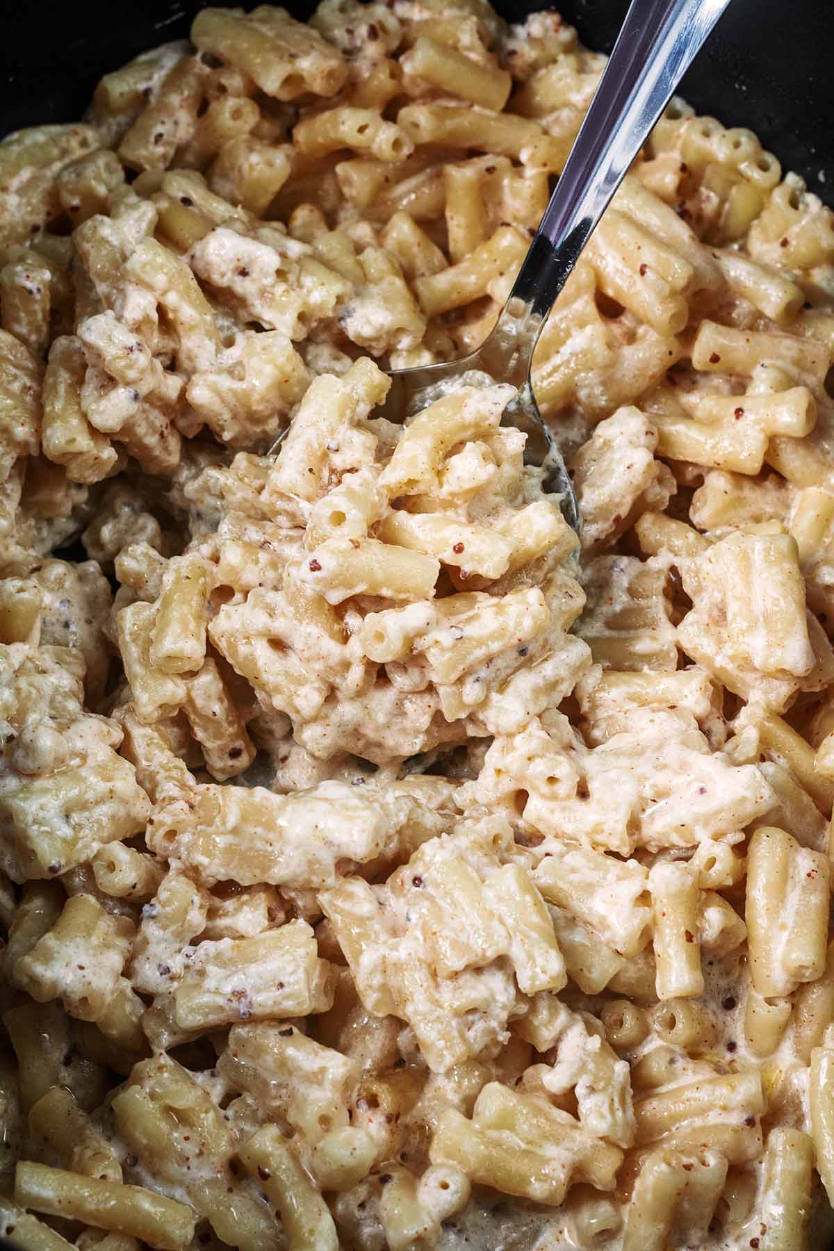 Cooked macaroni pasta in a cheesy sauce.