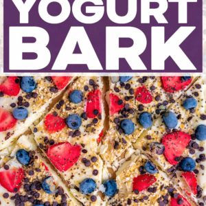 Frozen Yogurt Bark with a text title overlay.