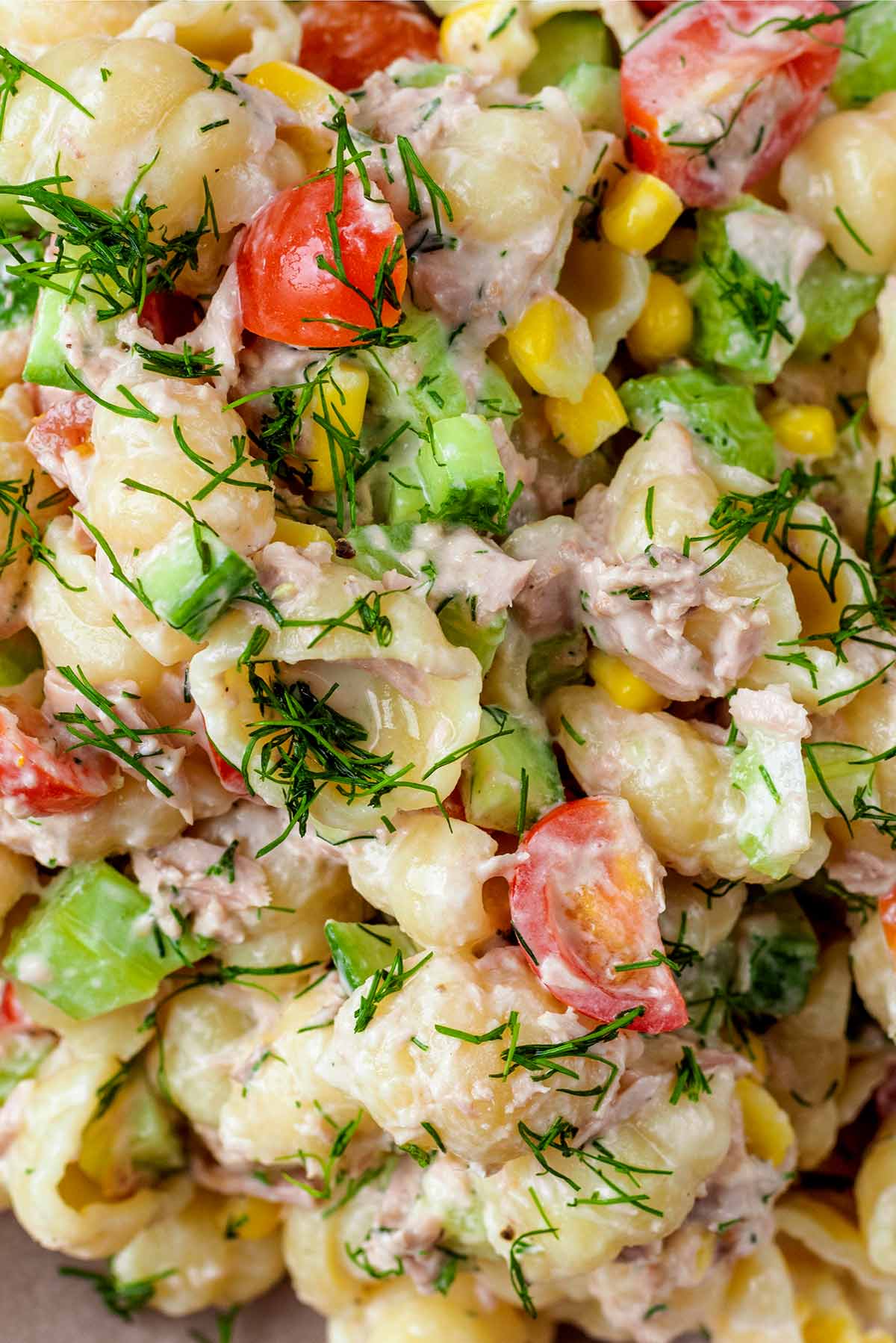Cooked, pasta, tuna chunks, chopped vegetables and dill in a creamy sauce.