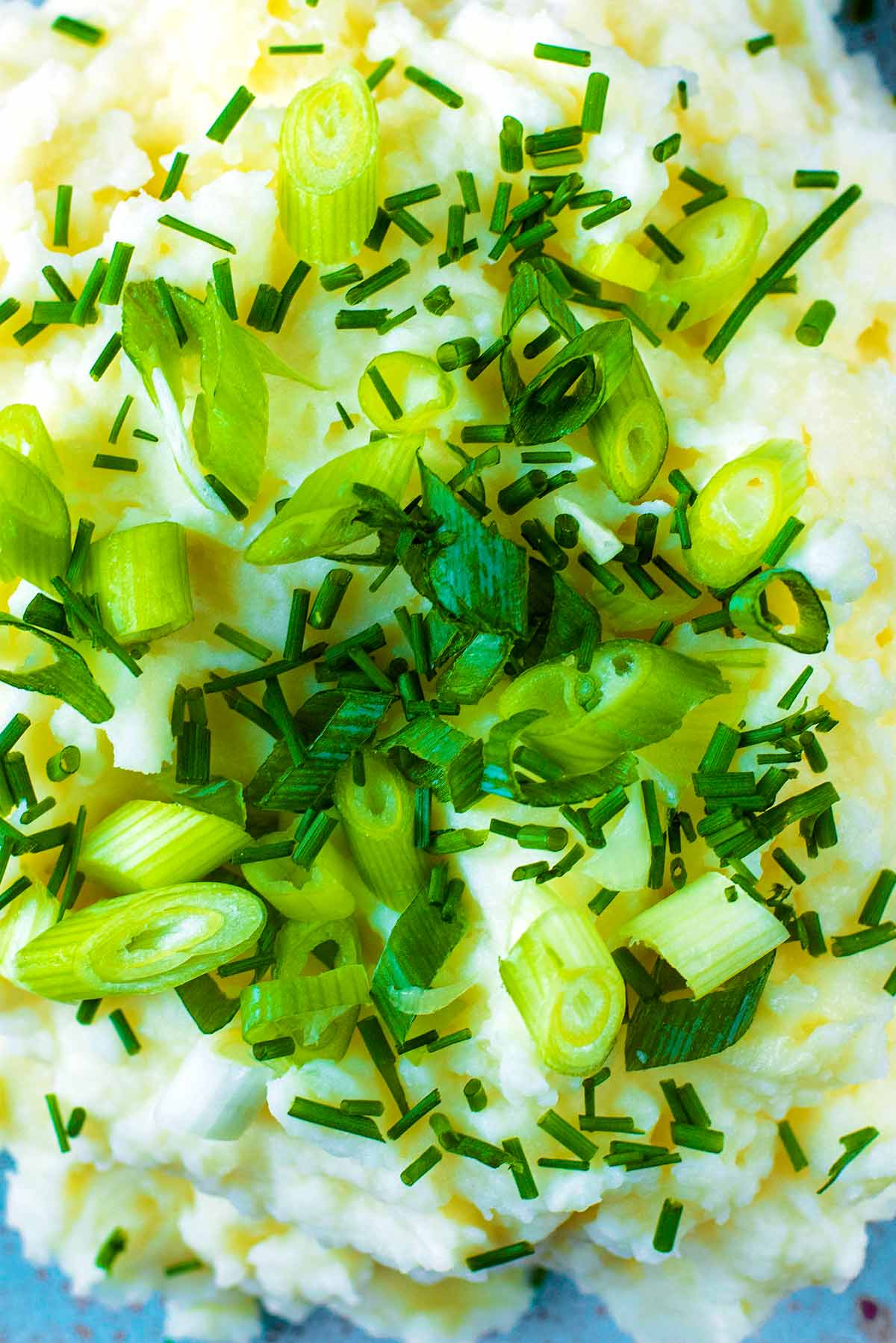 A plate of mashed potato with herbs and green onions.