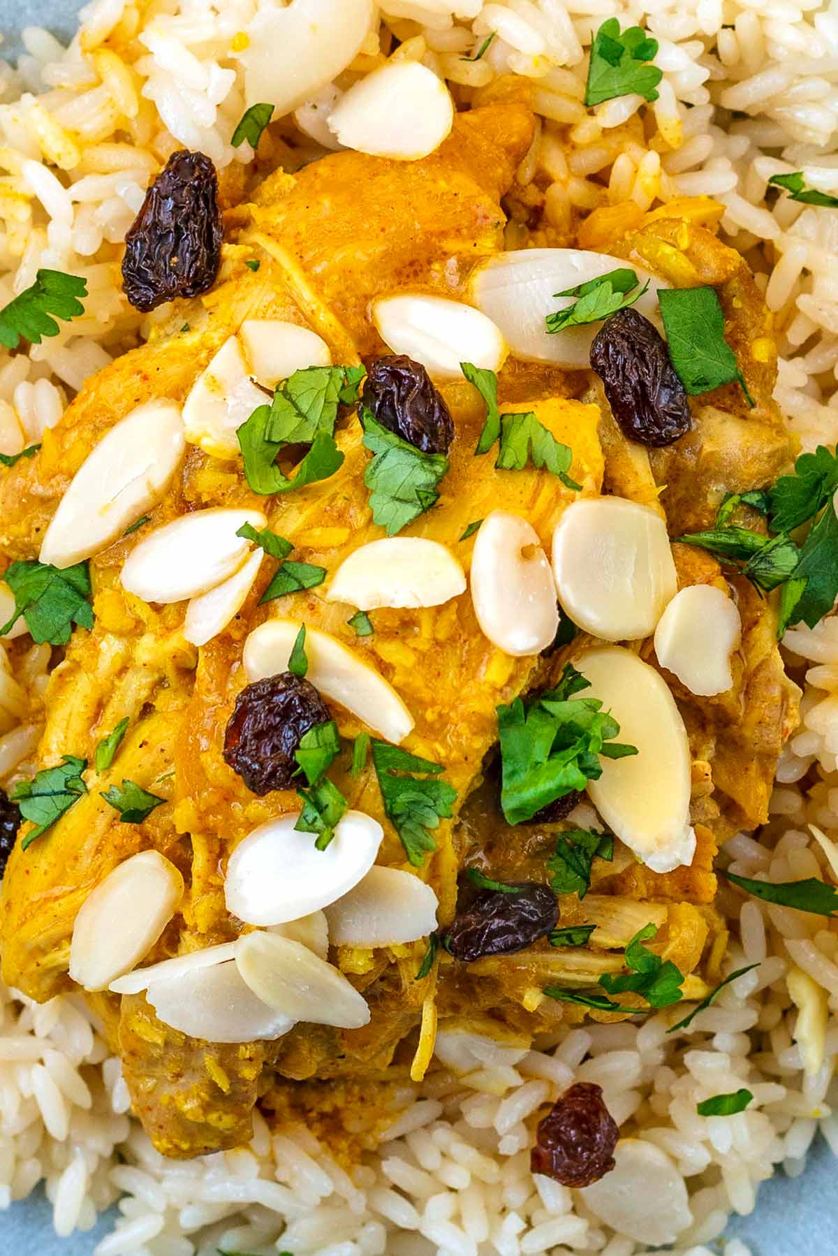 A chicken korma topped with flaked almonds and raisins.