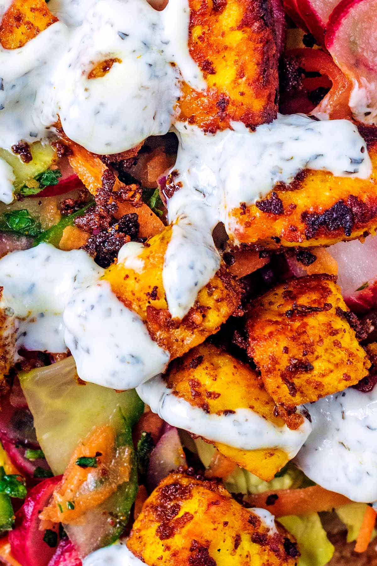 Cooked, spiced paneer drizzled with mint yogurt.