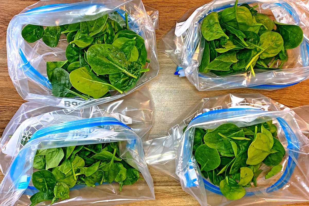 Four open ziploc bags with spinach in the bottom of them.