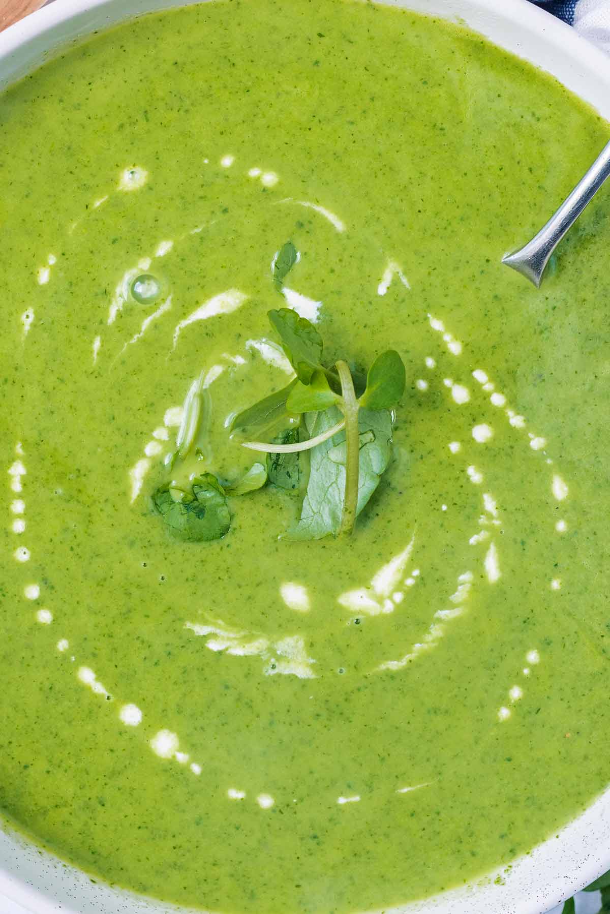 Watercress leaves and a drizzle of cream on top of some soup.