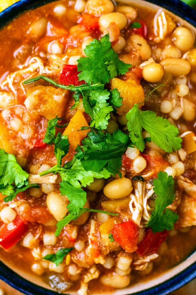 Slow Cooker Moroccan Chicken - Hungry Healthy Happy