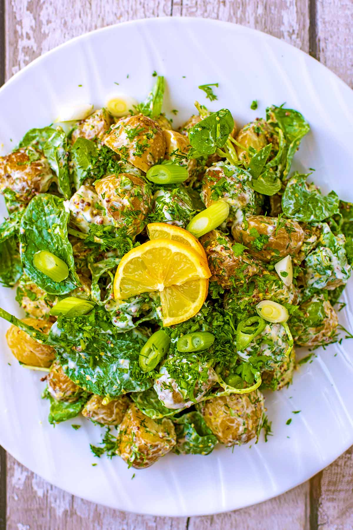 Mustard potato salad on a white plate topped with lemon slices.