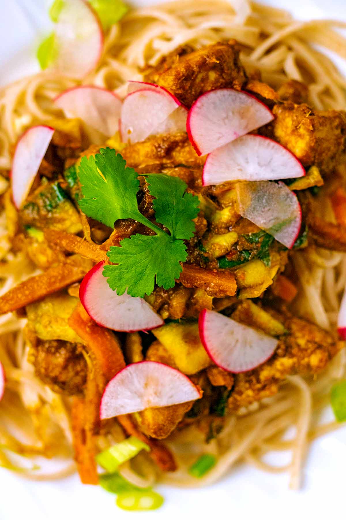Chicken and vegetable noodles topped with slices of radish and a coriander leaf.