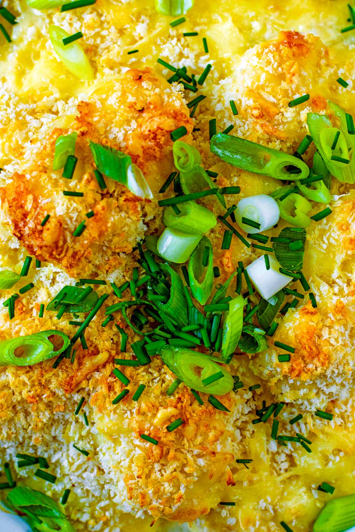 Cauliflower cheese topped with chopped spring onions and chopped herbs.